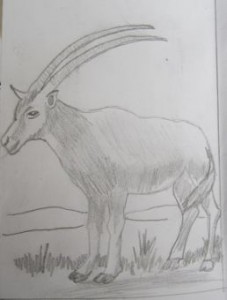 Mc'ds 1 colour lino print goat plan